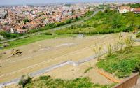 Imagine atasata: dealciupercaoradea-scaled.jpg
